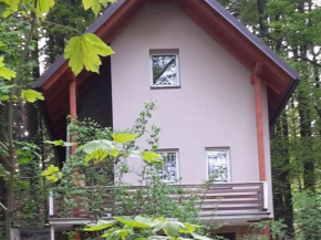 Peaceful Holiday Home in Hol n with Garden, Prachov